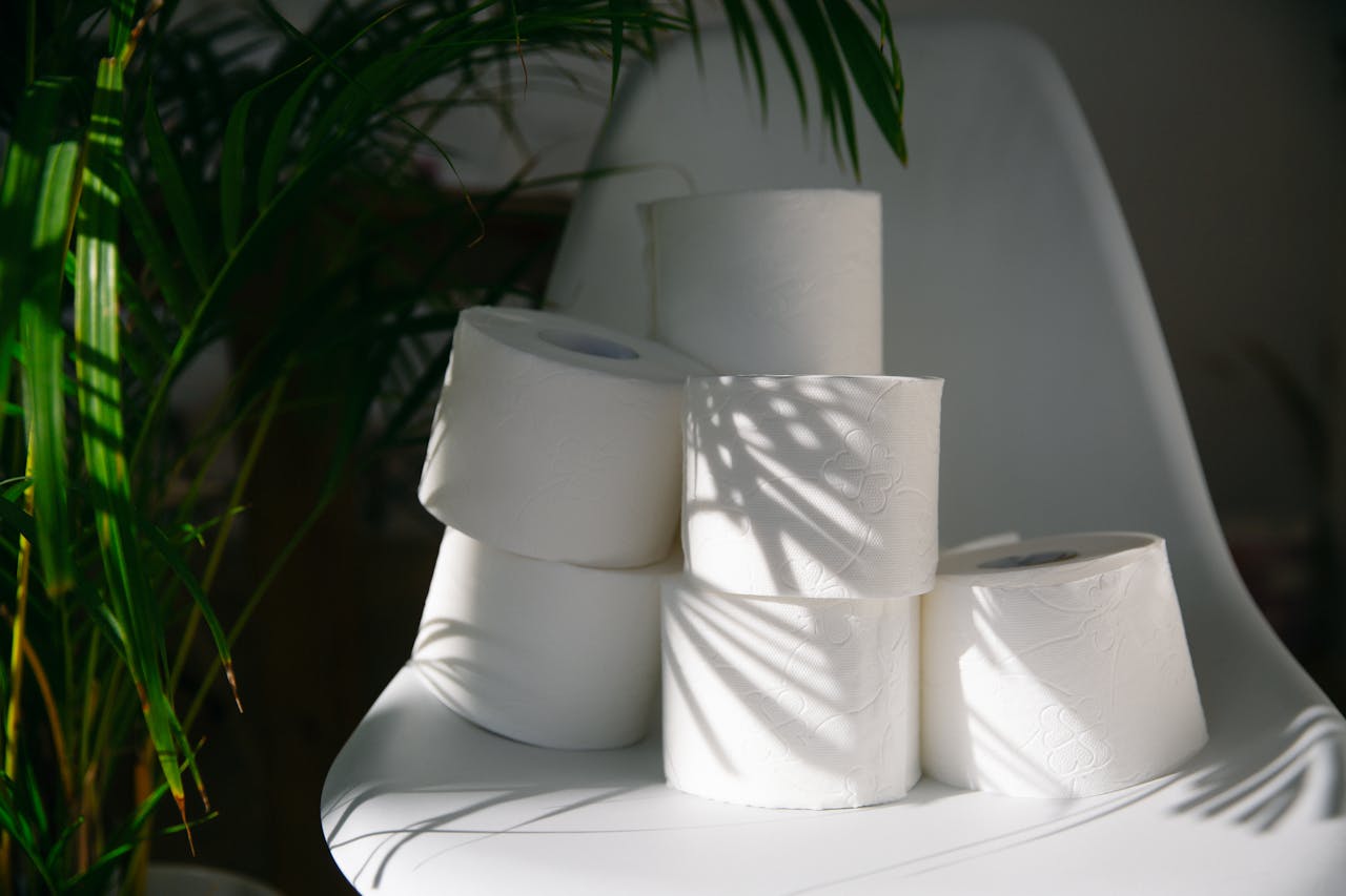 gallery-05 Toilet rolls stacked on a chair with natural plant shadows, indoor setting.